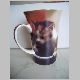 Becher lang mit jungen Katzen von hinten