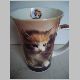 Becher lang mit jungen Katzen