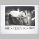Katzen von Rom