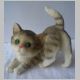 kesse Katze