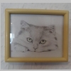 Kleine Bilder 1