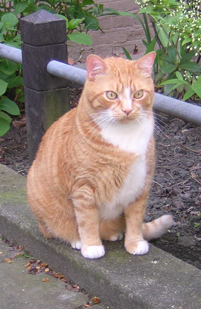 Mormel drau&szlig;en