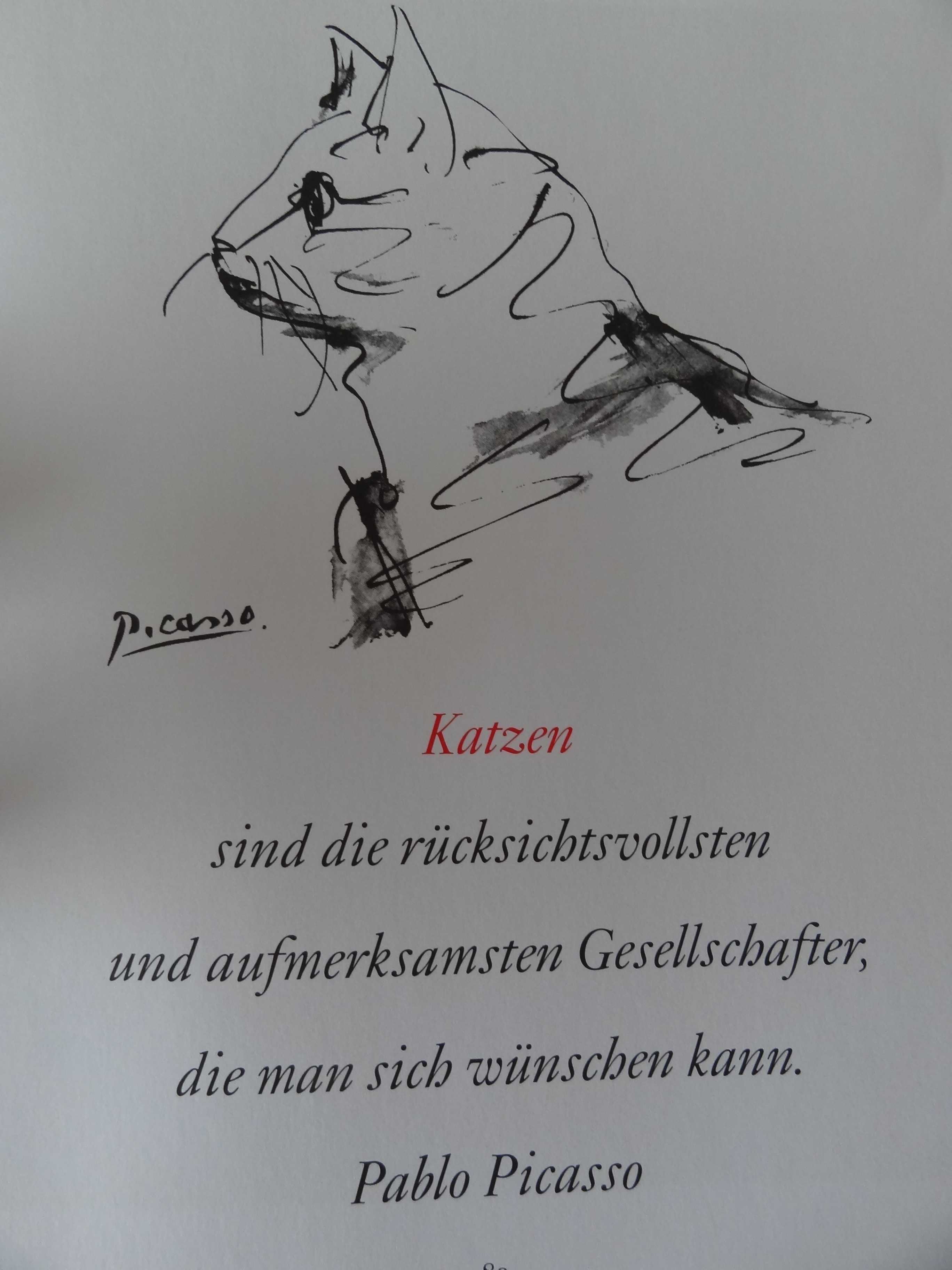 Picasso