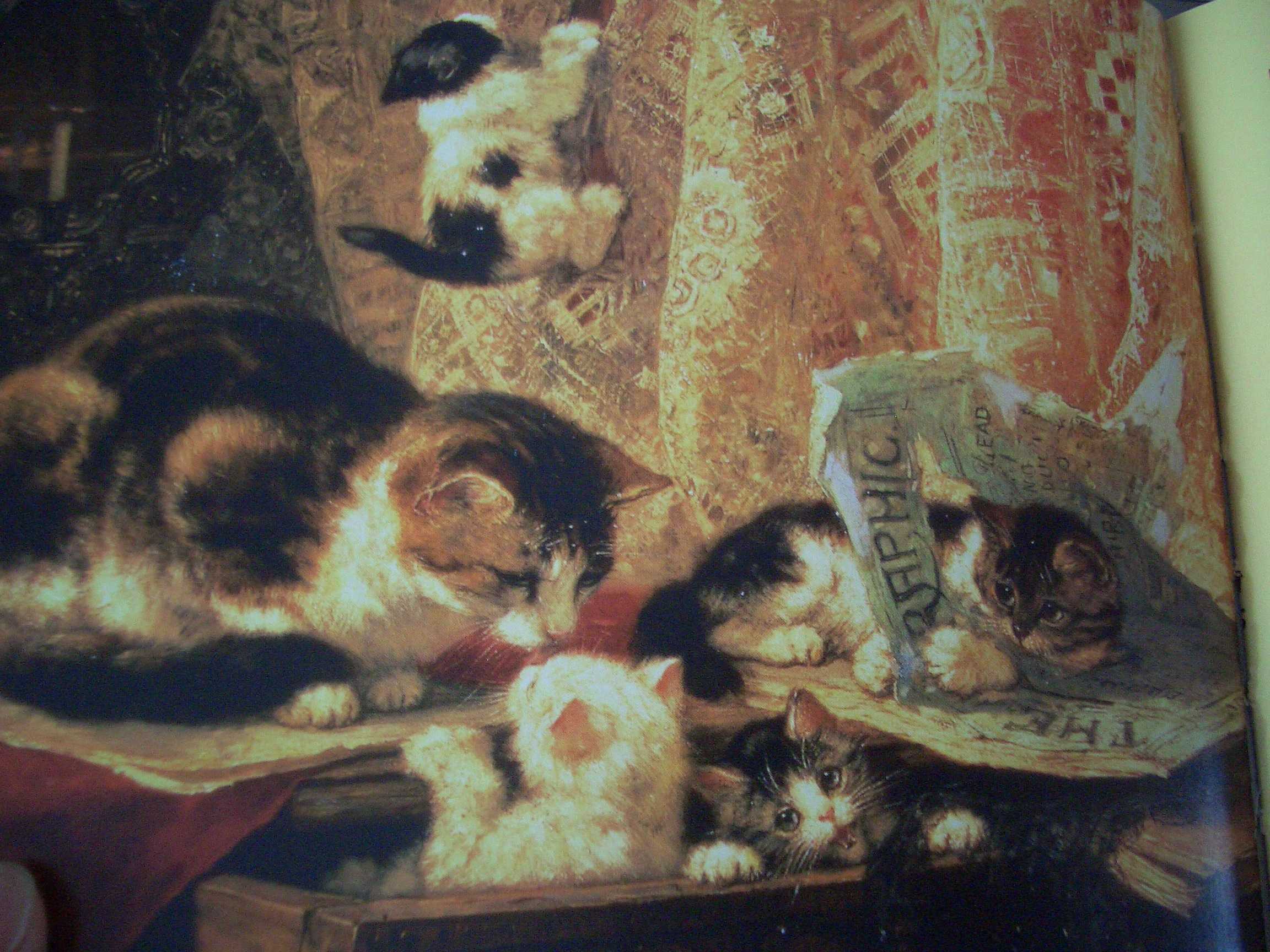 Possentreiber von Ronner-Knip