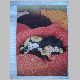 �Kater Jakob in Kissen