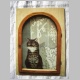 Katze am Fenster