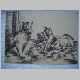 Kohlezeichnung von Katzen