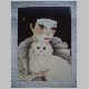 Pierrot mit Katze