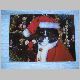 Postkarte Weihnachtskater