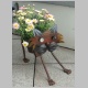 Katzenblumenk&uuml;bel Sommer