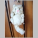 Pl&uuml;schkatze 1